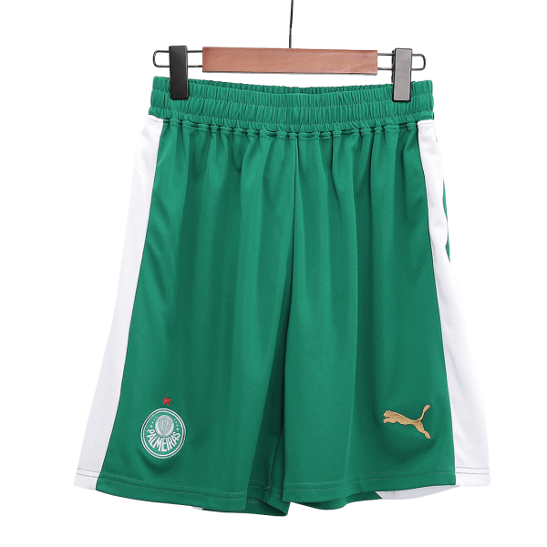 Se Palmeiras Away Soccer Shorts 2024 25